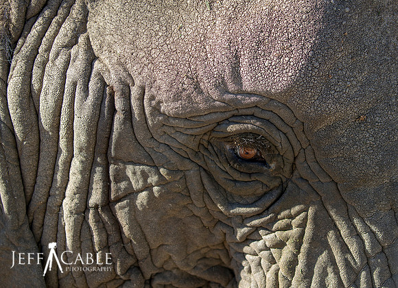 Edit_Namibia_Tour_2018_4469