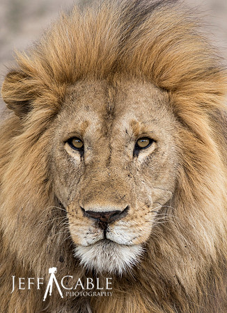 Edit_Tanzania_2017_2614_crop_mod