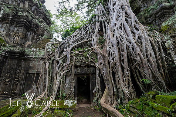 Cambodia