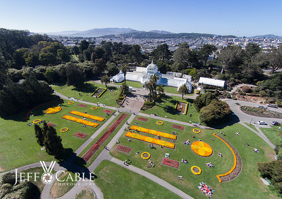 Aerial Images