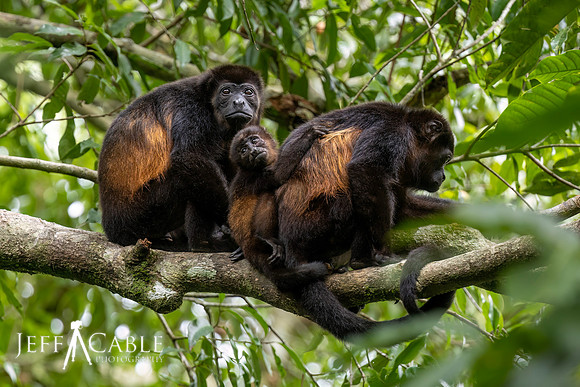 Edit-Costa Rica-Photo-Tour-June24-0414