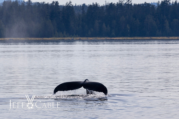 Alaska Photos