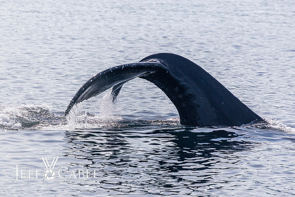 Alaska Photos