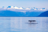 Alaska Photos