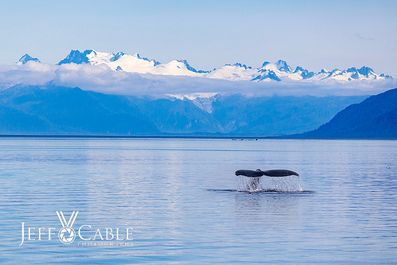 Alaska Photos