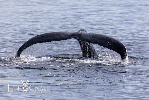 Alaska Photos