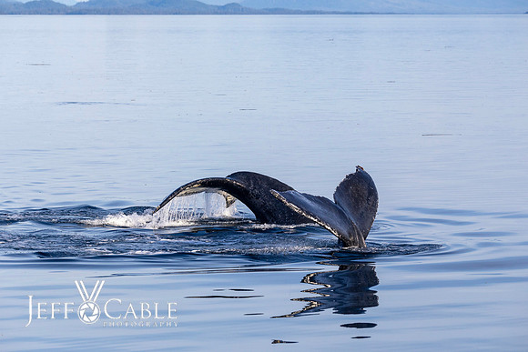 Alaska Photos