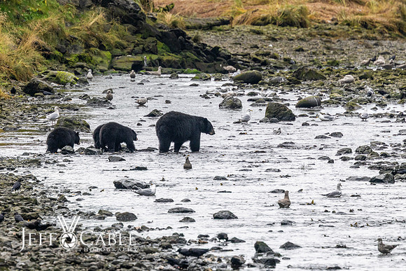 Alaska Photos