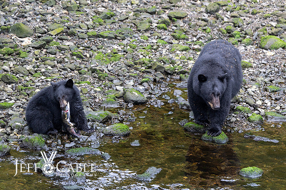 Alaska Photos