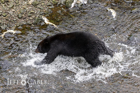 Alaska Photos