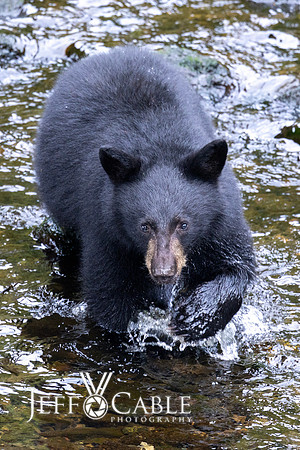Alaska Photos