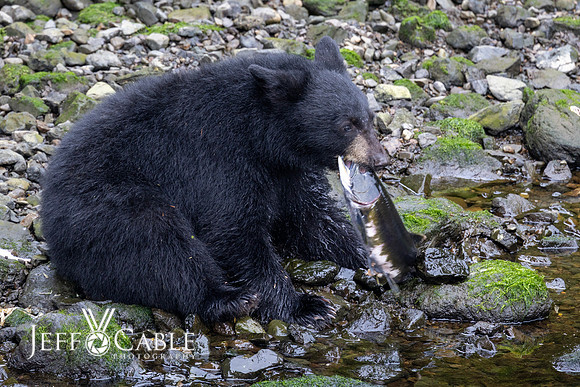 Alaska Photos