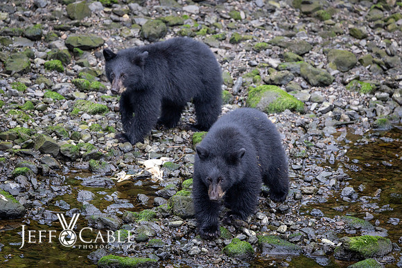 Alaska Photos