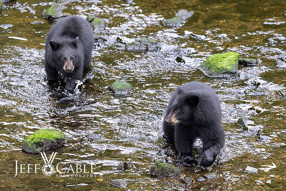 Alaska Photos