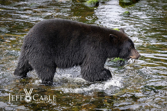 Alaska Photos