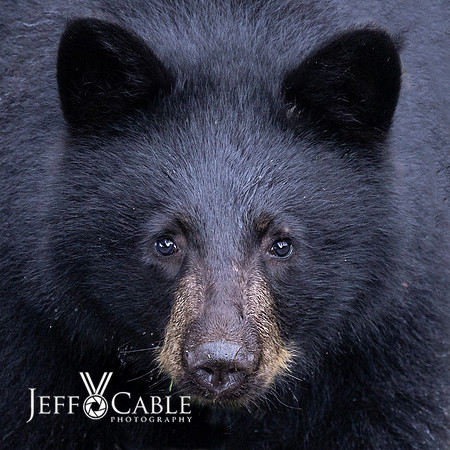 Alaska Photos