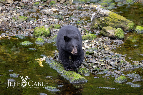 Alaska Photos