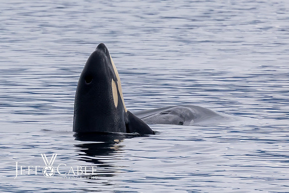 Alaska Photos