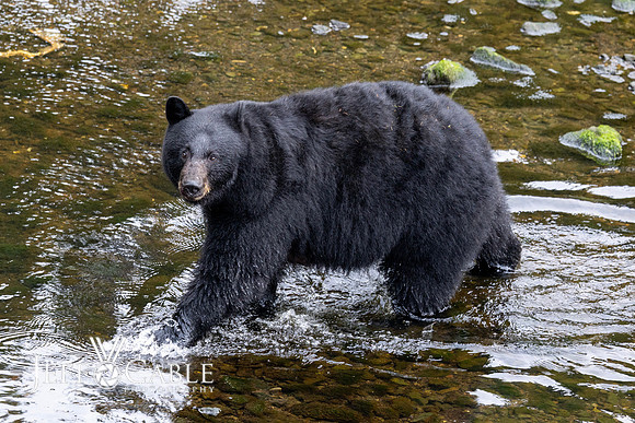 Alaska Photos