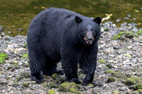 Alaska Photos