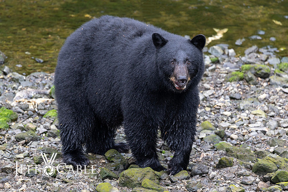 Alaska Photos