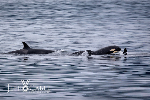 Alaska Photos