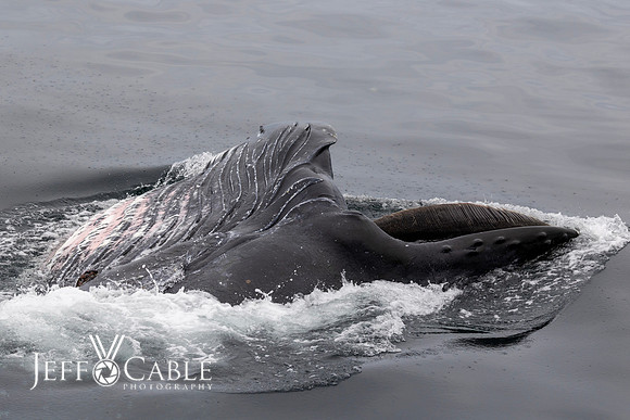 Alaska Photos