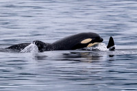 Alaska Photos