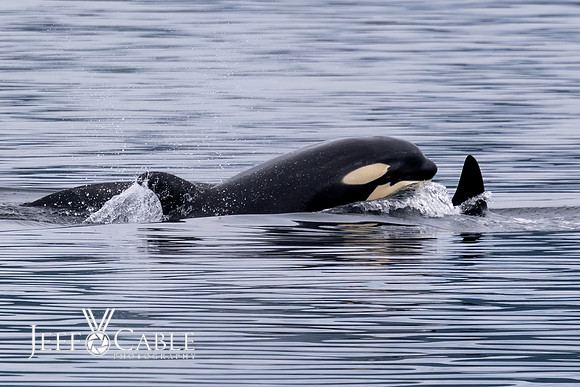 Alaska Photos