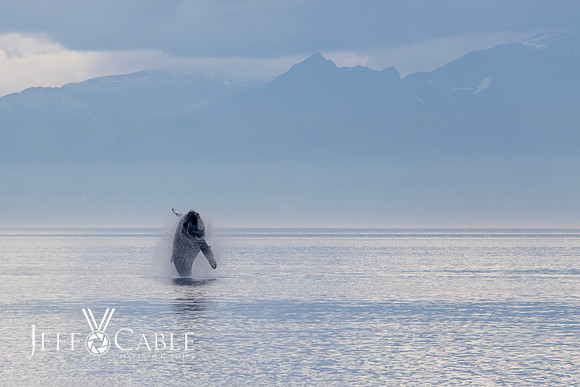 Alaska Photos