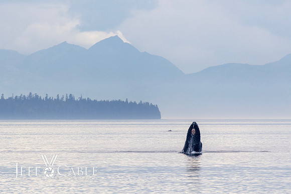Alaska Photos