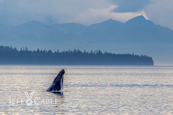 Alaska Photos