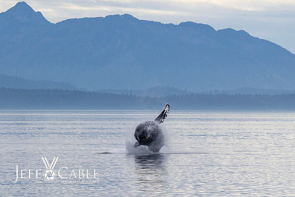 Alaska Photos