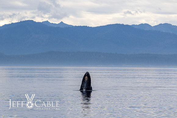 Alaska Photos