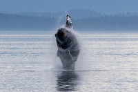 Alaska Photos