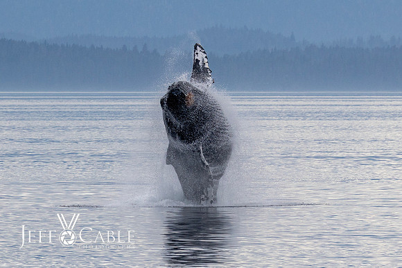 Alaska Photos