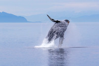 Alaska