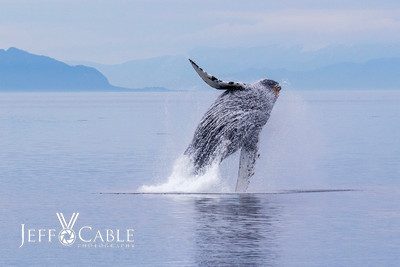 Alaska Photos