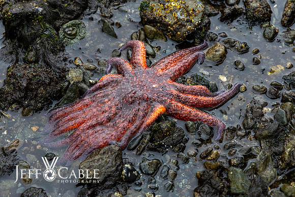 Alaska Photos