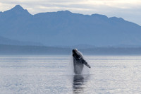 Alaska Photos