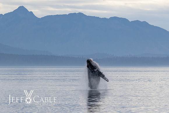 Alaska Photos