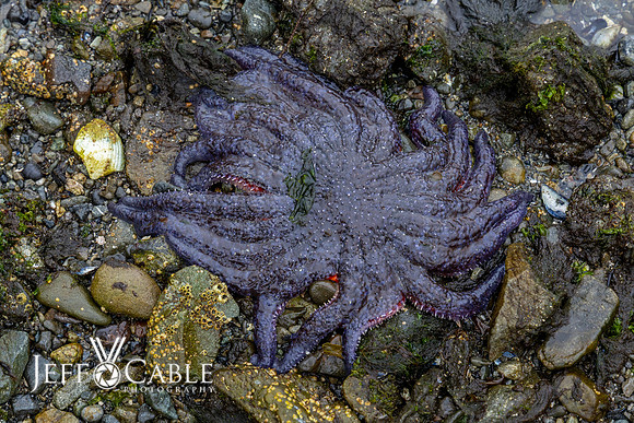 Alaska Photos