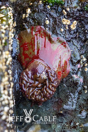 Alaska Photos