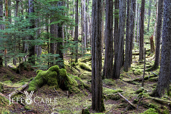 Alaska Photos