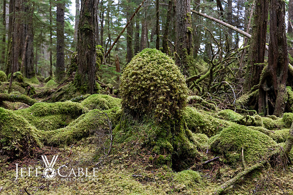 Alaska Photos