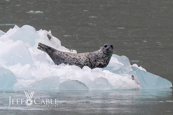 Alaska Photos