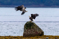 Alaska Photos