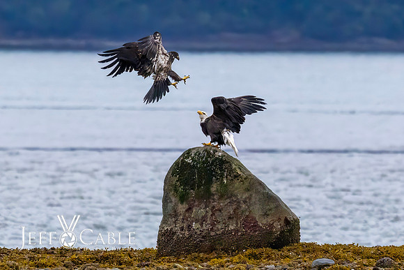 Alaska Photos