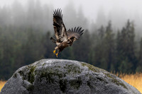 Alaska Photos