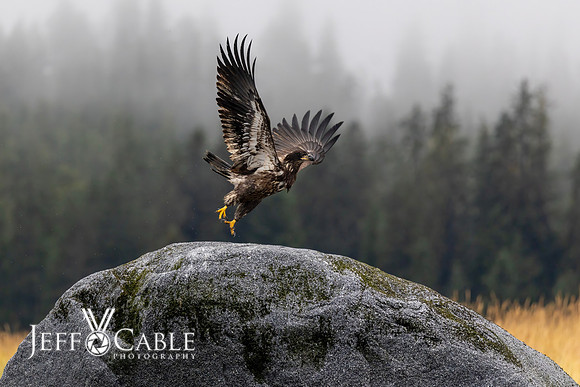 Alaska Photos